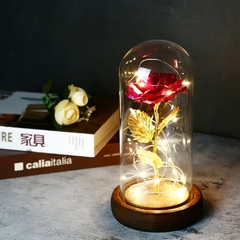 Rosa Eterna Galáxia Encantada de LED com Cordão de Luzes de Fada em Cúpula