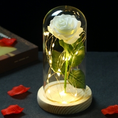 Rosa Eterna Galáxia Encantada de LED com Cordão de Luzes de Fada em Cúpula na internet