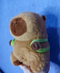 Pelúcia Capivarinha na internet