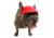 BONE ESPORTIVO VERMELHO na internet