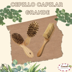 Large hair brush