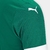 Camisa Palmeiras I 25/26 Torcedor Puma Masculina - Verde - loja online