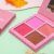 Paleta de Blush With Love Mylife - comprar online