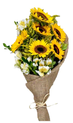 Modelo 08 - Ramo Girasoles y Astromelias