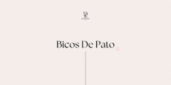 Banner for category bicos de pato