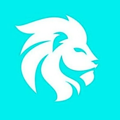 lion mayorista de accesorios