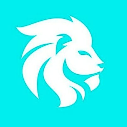 lion mayorista de accesorios