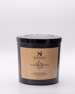 Vela Aromática Nanda 240g en internet
