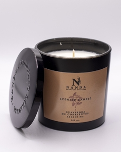 Vela Aromática Nanda 240g