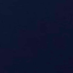 Imagen de SHORT CON PROTECCIÓN UV +50