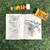 KIT COLORIR C/ BOLINHA - 10 UNIDADES - Aninha Personalizados