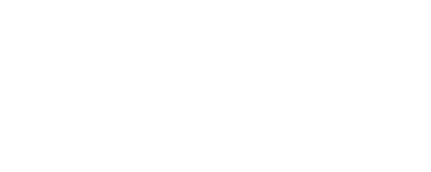 BUSSY