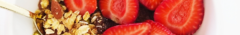 Banner de la categoría RECETARIOS