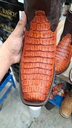 lomo de cocodrilo shedron en modelo versayo - comprar en línea