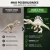 Espinossauro Articulado 3D Dinossauro Colecionável na internet