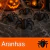 Kit 5 Aranhas Decorativas — Halloween 3D na internet