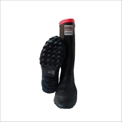Botas De Caucho Royal Argyll