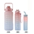 ELEGANZA: KIT 3 GARRAFAS - loja online