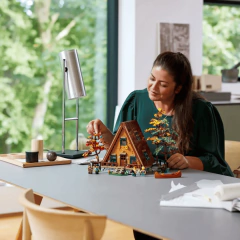 Lego Ideas - Chalé de Estrutura Triangular - 21338 na internet