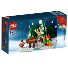 Lego Special Jardim do Papai Noel- 40484