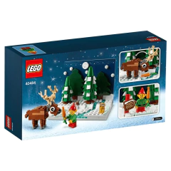 Lego Special Jardim do Papai Noel- 40484 na internet