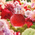 Boticário Floratta Red Blossom Deo Colônia 75ml - Luz de Lis