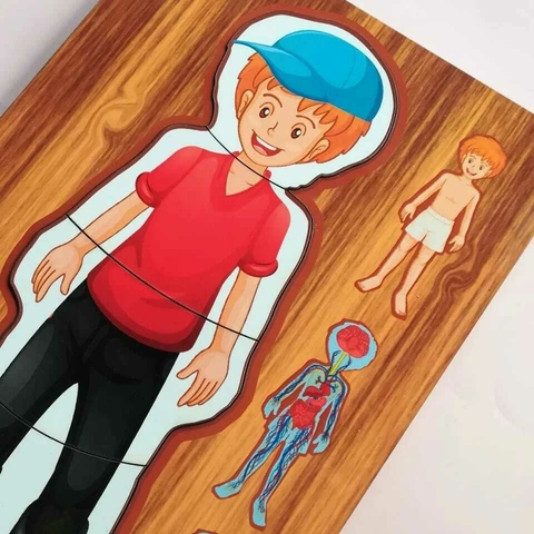 Rompecabezas Multicapa Cuerpo Humano 2