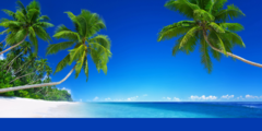 Banner da categoria Moda Praia
