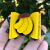 Laço Banana