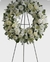 Arco de Flores Brancas