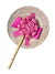 Abanico Flor de Bola Multicolor - comprar en línea