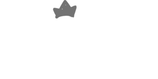 Camaleão Floripa - Camisetas