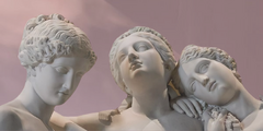 Banner da categoria Meduse 