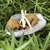 Mini Baby - 10 unid. - comprar online