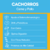 PEDIGREE CACHORROS SANO CRECIMIENTO X21KG CARNE Y POLLO - Petopia Tienda | Petshop y accesorios para mascotas. 