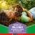 DOGCHOW CACHORROS MEDIANOS Y GRANDES
DOGCHOW CACHORROS
DOG CHOW CACHORROS PEQUEÑOS Y MINIS
DOGCHOW CHICOS Y MINIS
CACHORROS DOGCHOW