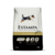 estampa adultos tradicional
estampa adultos
estampa alimento
estampa adultos tradicional para perros
estampa alimento para perros
estampa plus alimento
estampa plus perros