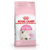 royal canin kitten
royal canin kitten gatitos
royal canin gatitos
royal canin para gatitos
