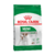 royal canin
royal canin perro
royal canin perro adulto mini
perro adulto mini
royal canin mini adulto