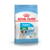 royal canin mini adulto
royal canine mini adulto
alimento balanceado para perros
royal canin
royal canin perros