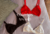 Banner de Racove