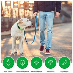 Imagem do Coleira LED brilhante para cães ajustável