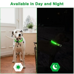 Coleira LED brilhante para cães ajustável - loja online