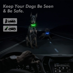 Coleira LED brilhante para cães ajustável - comprar online