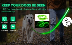 Coleira LED brilhante para cães ajustável na internet