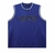 Trapstar Irongate Arch Basketball Blue