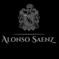 Banner de la categoría Bodega Alonso Saenz