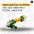 Amoladora a Batería 20V Brushless Jadever - comprar online