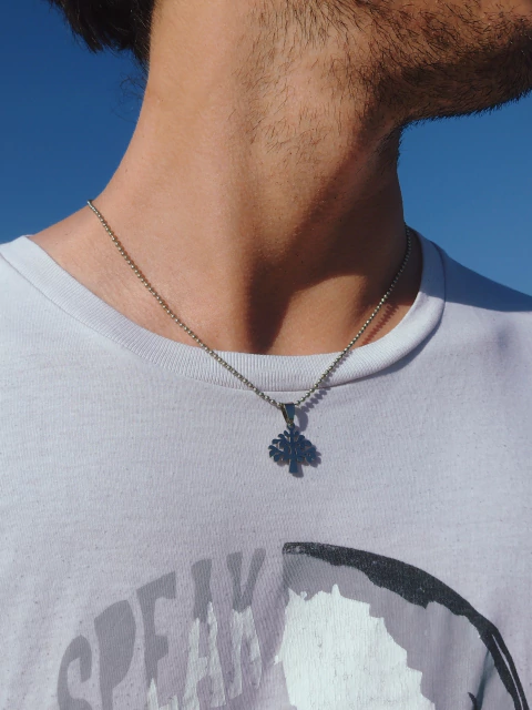 Collar Earth - comprar online