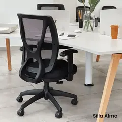 Sillon Ergonómico Ejecutivo Neumatico Alma Oficina Respaldo, 25%OFF en Efectivo! - comprar online